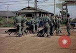 Immagine di Cani sentinella Tan Son Nhut Air Force Base Vietnam, 1965, secondo 53 filmato di repertorio 65675028496