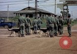 Immagine di Cani sentinella Tan Son Nhut Air Force Base Vietnam, 1965, secondo 54 filmato di repertorio 65675028496