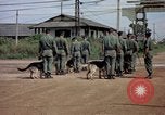 Immagine di Cani sentinella Tan Son Nhut Air Force Base Vietnam, 1965, secondo 55 filmato di repertorio 65675028496