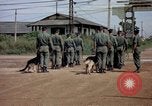 Immagine di Cani sentinella Tan Son Nhut Air Force Base Vietnam, 1965, secondo 56 filmato di repertorio 65675028496