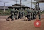 Immagine di Cani sentinella Tan Son Nhut Air Force Base Vietnam, 1965, secondo 57 filmato di repertorio 65675028496