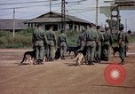 Immagine di Cani sentinella Tan Son Nhut Air Force Base Vietnam, 1965, secondo 58 filmato di repertorio 65675028496