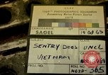 Immagine di Cani sentinella Tan Son Nhut Air Force Base Vietnam, 1965, secondo 1 filmato di repertorio 65675028497