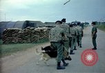 Immagine di Cani sentinella Tan Son Nhut Air Force Base Vietnam, 1965, secondo 4 filmato di repertorio 65675028497