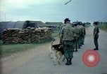 Immagine di Cani sentinella Tan Son Nhut Air Force Base Vietnam, 1965, secondo 5 filmato di repertorio 65675028497
