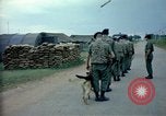 Immagine di Cani sentinella Tan Son Nhut Air Force Base Vietnam, 1965, secondo 6 filmato di repertorio 65675028497