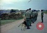 Immagine di Cani sentinella Tan Son Nhut Air Force Base Vietnam, 1965, secondo 7 filmato di repertorio 65675028497