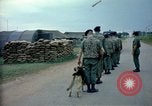 Immagine di Cani sentinella Tan Son Nhut Air Force Base Vietnam, 1965, secondo 8 filmato di repertorio 65675028497