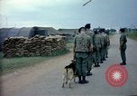 Immagine di Cani sentinella Tan Son Nhut Air Force Base Vietnam, 1965, secondo 9 filmato di repertorio 65675028497