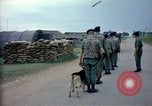 Immagine di Cani sentinella Tan Son Nhut Air Force Base Vietnam, 1965, secondo 10 filmato di repertorio 65675028497
