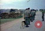 Immagine di Cani sentinella Tan Son Nhut Air Force Base Vietnam, 1965, secondo 11 filmato di repertorio 65675028497