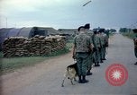 Immagine di Cani sentinella Tan Son Nhut Air Force Base Vietnam, 1965, secondo 12 filmato di repertorio 65675028497
