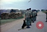 Immagine di Cani sentinella Tan Son Nhut Air Force Base Vietnam, 1965, secondo 14 filmato di repertorio 65675028497