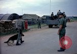 Immagine di Cani sentinella Tan Son Nhut Air Force Base Vietnam, 1965, secondo 15 filmato di repertorio 65675028497