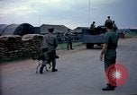 Immagine di Cani sentinella Tan Son Nhut Air Force Base Vietnam, 1965, secondo 16 filmato di repertorio 65675028497