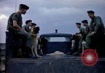 Immagine di Cani sentinella Tan Son Nhut Air Force Base Vietnam, 1965, secondo 29 filmato di repertorio 65675028497