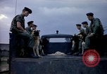 Immagine di Cani sentinella Tan Son Nhut Air Force Base Vietnam, 1965, secondo 30 filmato di repertorio 65675028497