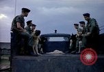 Immagine di Cani sentinella Tan Son Nhut Air Force Base Vietnam, 1965, secondo 31 filmato di repertorio 65675028497