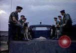 Immagine di Cani sentinella Tan Son Nhut Air Force Base Vietnam, 1965, secondo 32 filmato di repertorio 65675028497