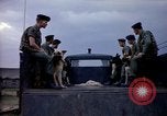 Immagine di Cani sentinella Tan Son Nhut Air Force Base Vietnam, 1965, secondo 33 filmato di repertorio 65675028497