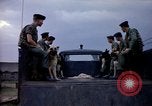 Immagine di Cani sentinella Tan Son Nhut Air Force Base Vietnam, 1965, secondo 34 filmato di repertorio 65675028497