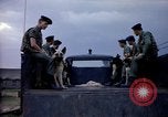 Immagine di Cani sentinella Tan Son Nhut Air Force Base Vietnam, 1965, secondo 35 filmato di repertorio 65675028497
