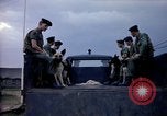 Immagine di Cani sentinella Tan Son Nhut Air Force Base Vietnam, 1965, secondo 36 filmato di repertorio 65675028497