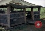 Immagine di Cani sentinella Tan Son Nhut Air Force Base Vietnam, 1965, secondo 3 filmato di repertorio 65675028498