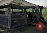 Immagine di Cani sentinella Tan Son Nhut Air Force Base Vietnam, 1965, secondo 5 filmato di repertorio 65675028498