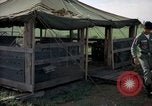 Immagine di Cani sentinella Tan Son Nhut Air Force Base Vietnam, 1965, secondo 6 filmato di repertorio 65675028498