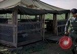 Immagine di Cani sentinella Tan Son Nhut Air Force Base Vietnam, 1965, secondo 7 filmato di repertorio 65675028498
