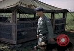 Immagine di Cani sentinella Tan Son Nhut Air Force Base Vietnam, 1965, secondo 8 filmato di repertorio 65675028498