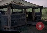 Immagine di Cani sentinella Tan Son Nhut Air Force Base Vietnam, 1965, secondo 9 filmato di repertorio 65675028498
