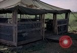 Immagine di Cani sentinella Tan Son Nhut Air Force Base Vietnam, 1965, secondo 10 filmato di repertorio 65675028498