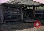 Immagine di Cani sentinella Tan Son Nhut Air Force Base Vietnam, 1965, secondo 12 filmato di repertorio 65675028498