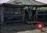Immagine di Cani sentinella Tan Son Nhut Air Force Base Vietnam, 1965, secondo 13 filmato di repertorio 65675028498