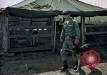 Immagine di Cani sentinella Tan Son Nhut Air Force Base Vietnam, 1965, secondo 15 filmato di repertorio 65675028498