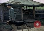Immagine di Cani sentinella Tan Son Nhut Air Force Base Vietnam, 1965, secondo 16 filmato di repertorio 65675028498
