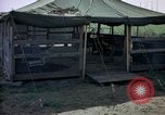 Immagine di Cani sentinella Tan Son Nhut Air Force Base Vietnam, 1965, secondo 18 filmato di repertorio 65675028498