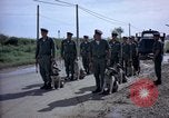 Immagine di Cani sentinella Tan Son Nhut Air Force Base Vietnam, 1965, secondo 19 filmato di repertorio 65675028498
