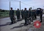 Immagine di Cani sentinella Tan Son Nhut Air Force Base Vietnam, 1965, secondo 21 filmato di repertorio 65675028498