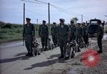 Immagine di Cani sentinella Tan Son Nhut Air Force Base Vietnam, 1965, secondo 22 filmato di repertorio 65675028498