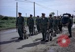 Immagine di Cani sentinella Tan Son Nhut Air Force Base Vietnam, 1965, secondo 23 filmato di repertorio 65675028498