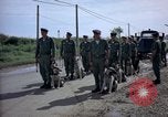 Immagine di Cani sentinella Tan Son Nhut Air Force Base Vietnam, 1965, secondo 25 filmato di repertorio 65675028498