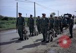 Immagine di Cani sentinella Tan Son Nhut Air Force Base Vietnam, 1965, secondo 26 filmato di repertorio 65675028498