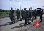 Immagine di Cani sentinella Tan Son Nhut Air Force Base Vietnam, 1965, secondo 27 filmato di repertorio 65675028498