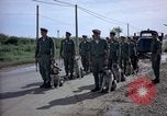 Immagine di Cani sentinella Tan Son Nhut Air Force Base Vietnam, 1965, secondo 28 filmato di repertorio 65675028498