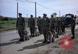 Immagine di Cani sentinella Tan Son Nhut Air Force Base Vietnam, 1965, secondo 30 filmato di repertorio 65675028498