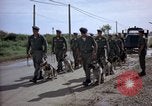 Immagine di Cani sentinella Tan Son Nhut Air Force Base Vietnam, 1965, secondo 31 filmato di repertorio 65675028498
