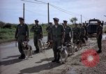 Immagine di Cani sentinella Tan Son Nhut Air Force Base Vietnam, 1965, secondo 32 filmato di repertorio 65675028498
